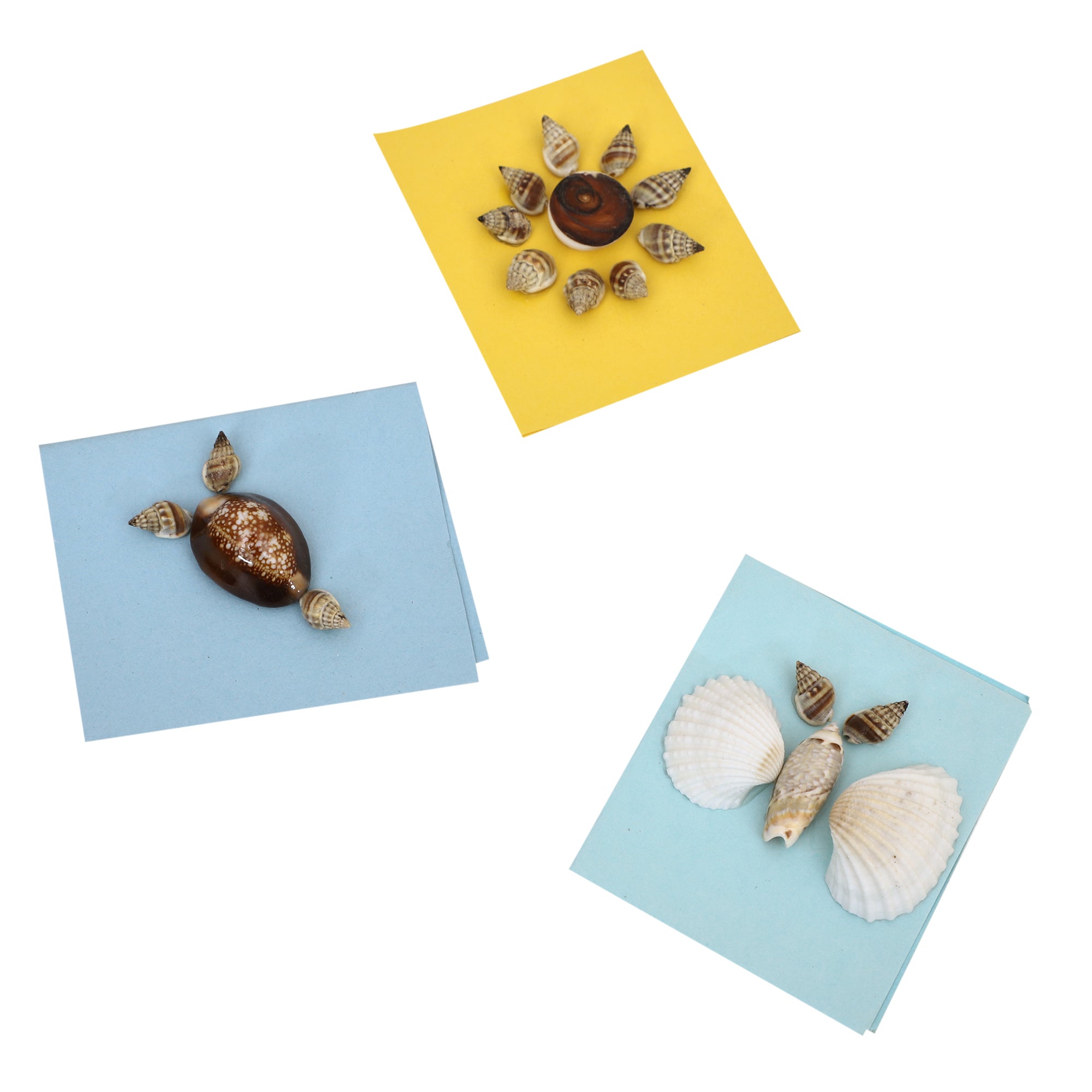 DIY Craft kit Shell Craft – Potli - A Bag Of Wonders