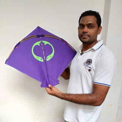 DIY Kite Mini